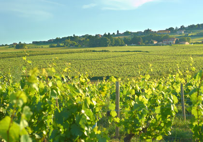 domaine passot
